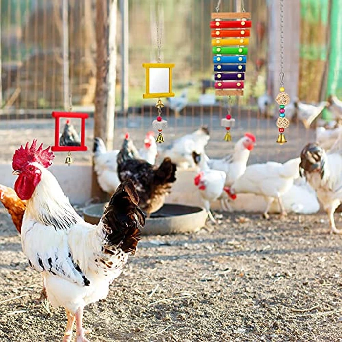 Sumind 6 Pieces Chicken Mirror Chicken Toys for Coop with Bells, Hen Xylophone Toy with 8 Metal Keys, Parrot Grinding Stone, Sepak Takraw Toy, Dangling Bird Toy by Sumind - Image 6