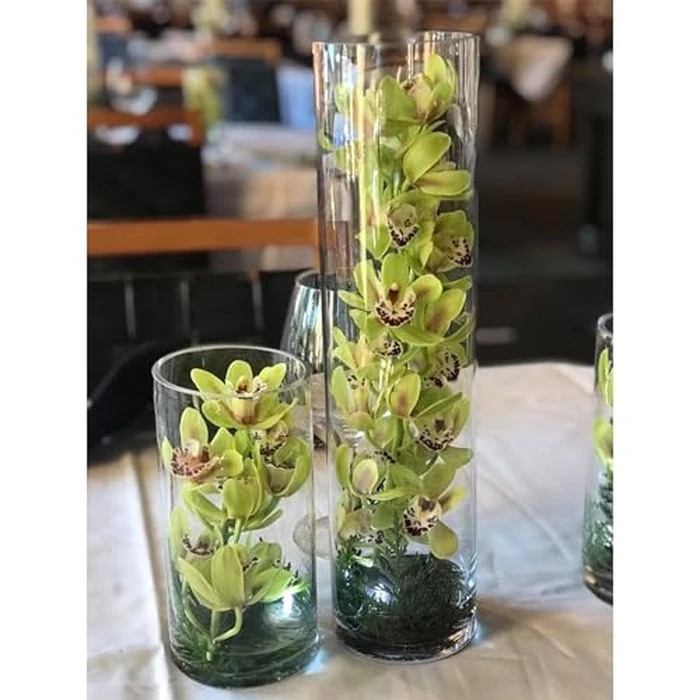 WGVI Quality Thick Weighted Clear Cylinder Glass Vases, 3" W x 16" H, Skinny Bud Tall Vase Floral Bouquet Flower Arrangements Wedding Centerpieces Container Candle Holders Home Decor, 1 Piece by WGVI - Image 4
