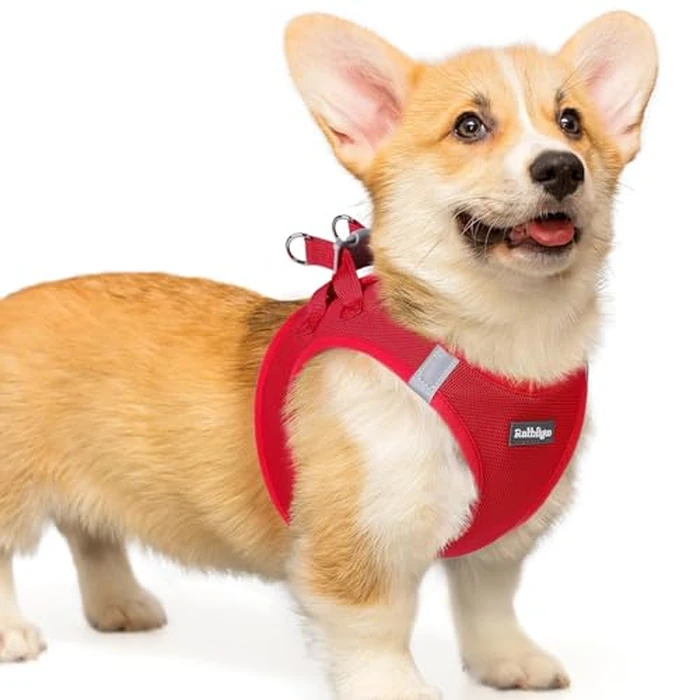 rabbitgoo Small Dog Harness, Step-in Soft Mesh Puppy Vest with Safety Buckle, Breathable Reflective Pet Harness for Small Medium Dogs, Red L by rabbitgoo - Image 1