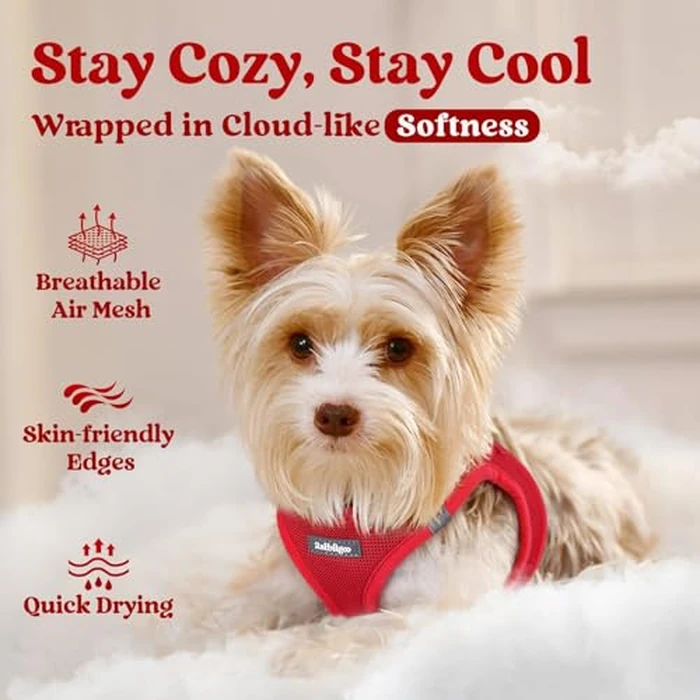 rabbitgoo Small Dog Harness, Step-in Soft Mesh Puppy Vest with Safety Buckle, Breathable Reflective Pet Harness for Small Medium Dogs, Red L by rabbitgoo - Image 3