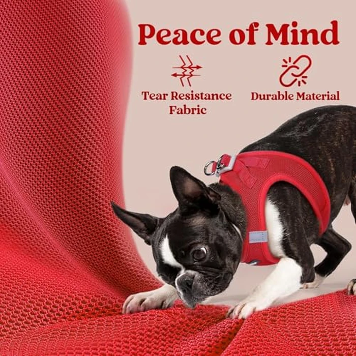 rabbitgoo Small Dog Harness, Step-in Soft Mesh Puppy Vest with Safety Buckle, Breathable Reflective Pet Harness for Small Medium Dogs, Red L by rabbitgoo - Image 4