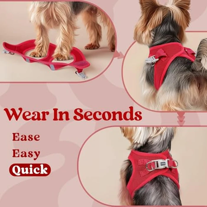 rabbitgoo Small Dog Harness, Step-in Soft Mesh Puppy Vest with Safety Buckle, Breathable Reflective Pet Harness for Small Medium Dogs, Red L by rabbitgoo - Image 6
