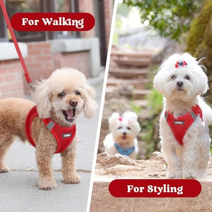 rabbitgoo Small Dog Harness, Step-in Soft Mesh Puppy Vest with Safety Buckle, Breathable Reflective Pet Harness for Small Medium Dogs, Red L by rabbitgoo - Image 9