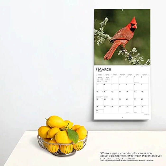Cardinals | 2024 12 x 24 Inch Monthly Square Wall Calendar | BrownTrout | Animals Wildlife Red Birds by BrownTrout - Image 2