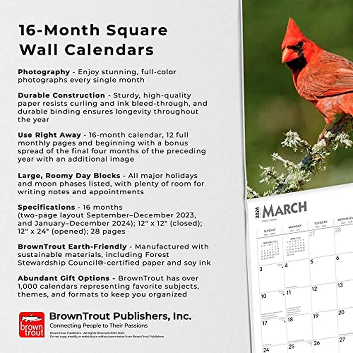 Cardinals | 2024 12 x 24 Inch Monthly Square Wall Calendar | BrownTrout | Animals Wildlife Red Birds by BrownTrout - Image 3