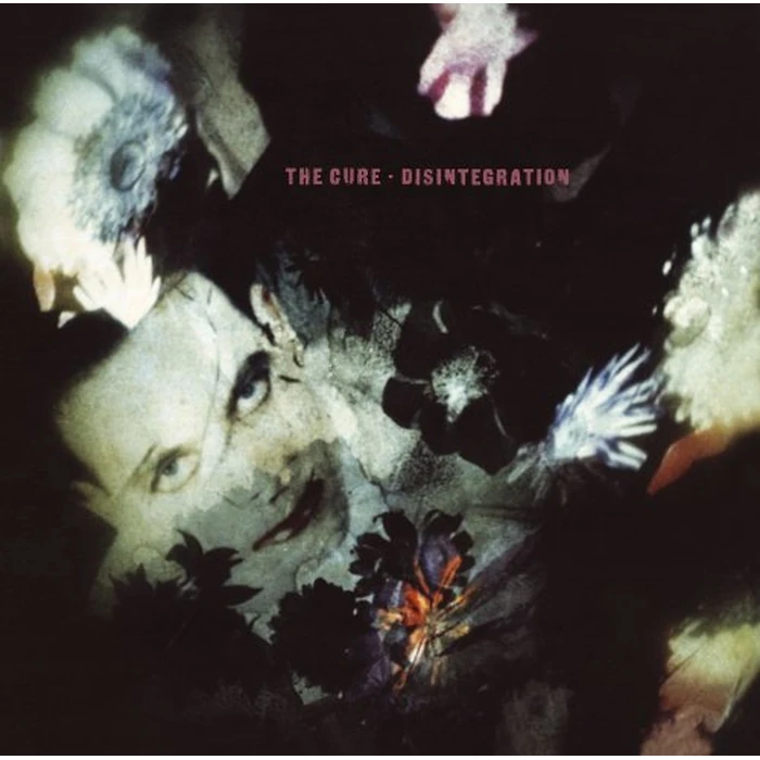 Disintegration (Vinyl) by Warner Music - Used - Like New condition
