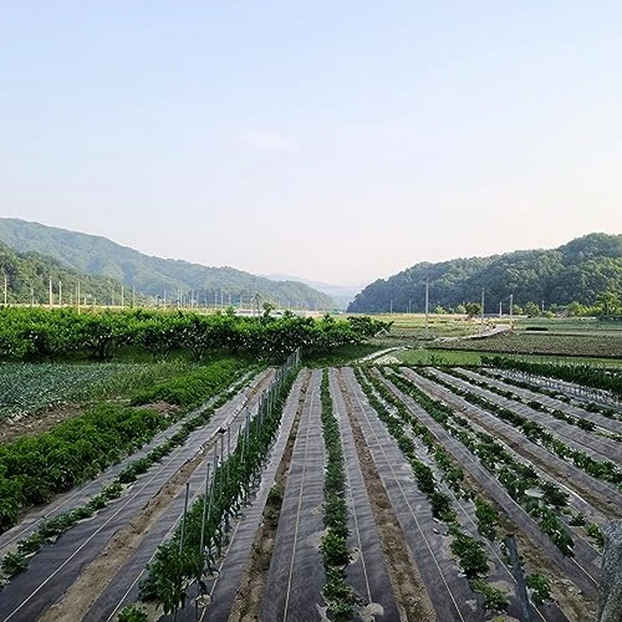 Sunocity 6ft x 300ft Durable Weed Barrier Fabric, 3oz Heavy-Duty Landscaping Fabric, Permeable Ground Cover for Garden, Lawn, and Outdoor Projects, Easy to Install, with 90 Staples by Sunocity - Image 6