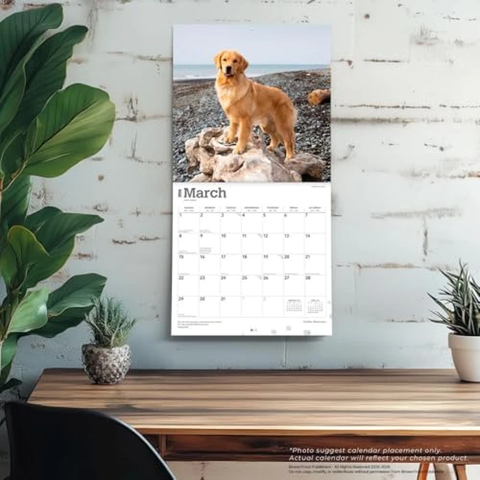 Golden Retrievers | 2026 12 x 24 Inch (Hanging) Monthly Square Wall Calendar | Foil Stamped Cover | BrownTrout | Animals Dog Breeds Retriever by BrownTrout - Image 3
