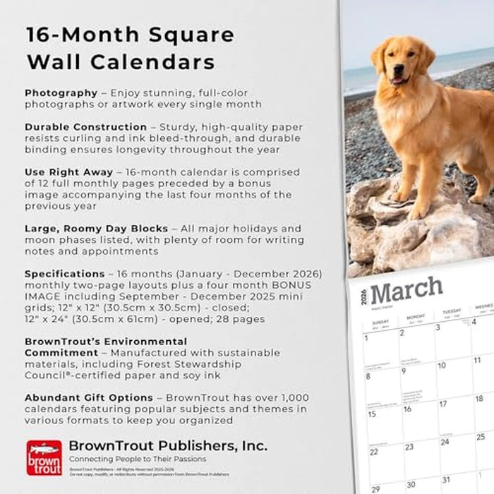 Golden Retrievers | 2026 12 x 24 Inch (Hanging) Monthly Square Wall Calendar | Foil Stamped Cover | BrownTrout | Animals Dog Breeds Retriever by BrownTrout - Image 4