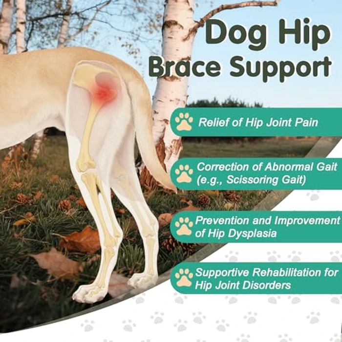 Dovanor Dog Hip Orthotics Brace, Dog Hip Dysplasia Brace, Support for Hip Dysplasia, Arthritis, Luxating Patella, Back Leg limping, Relieve Hip Pain and Orthodontic Assistance - Medium by Dovanor - Image 2