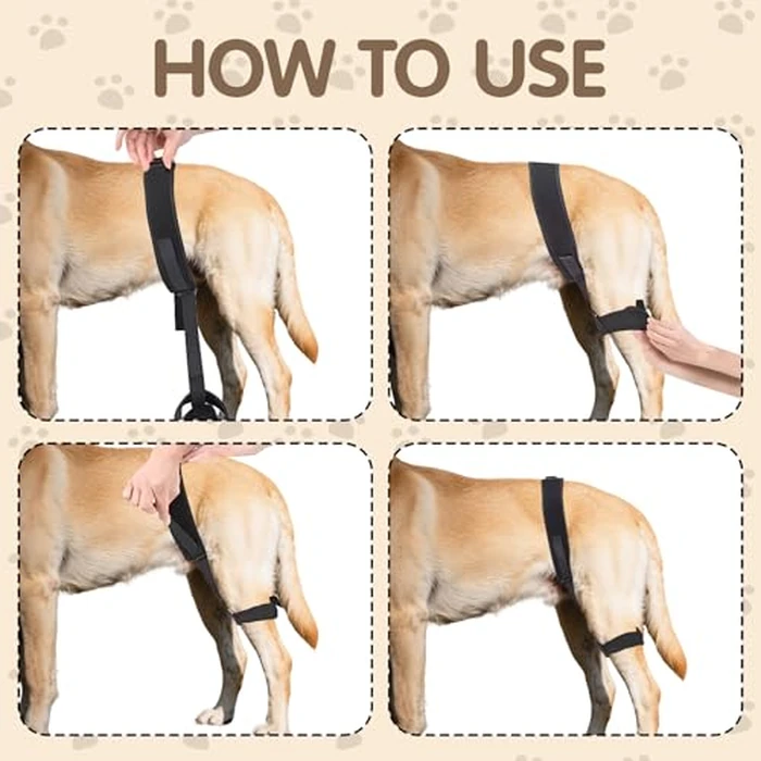 Dovanor Dog Hip Orthotics Brace, Dog Hip Dysplasia Brace, Support for Hip Dysplasia, Arthritis, Luxating Patella, Back Leg limping, Relieve Hip Pain and Orthodontic Assistance - Medium by Dovanor - Image 5