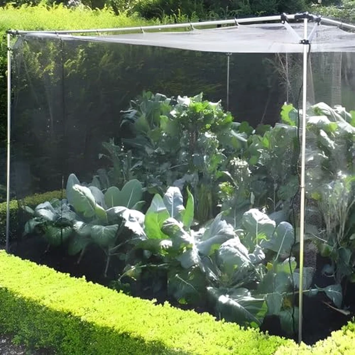 39 x 10 Ft Mosquito Netting for Garden Patio, Breathable Mesh Net for Bird and Insect Protection, Plant Cover for Vegetables, Fruits and Flowers, 3x12m Gray by RGQSUN - Image 6