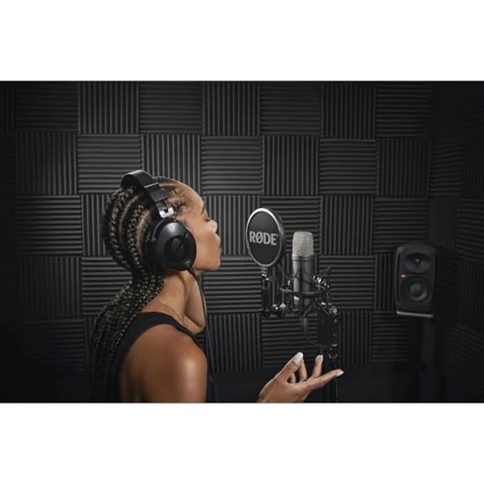 RODE Condenser Microphone (NT1SIGNATUREBLACK) by RØDE - Image 2