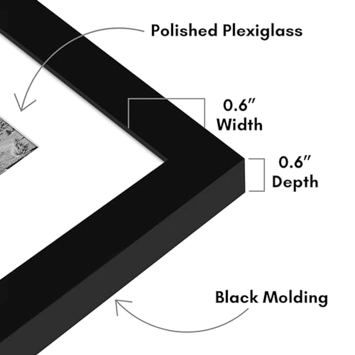 Americanflat 11x27 Picture Frame with Polished Plexiglass - Set of 2 - Use as 8x24 Frame with Mat or Display 11x27 Photo Without Mat - Galleria Collection - Picture Frames for Wall Display - Black by Americanflat - Image 3