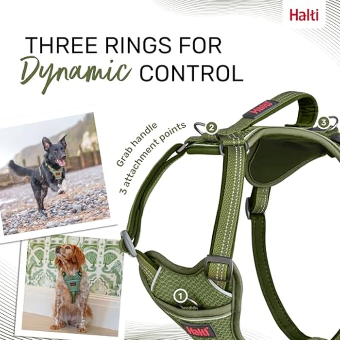 Halti Anatomy Dog Harness with Handle - Padded, Adjustable & Reflective No Pull Dog Harness, 3 Leash Attachment Points Including Front Clip, Suitable for Medium Dogs (Size M, Green) by Coachi - Image 5