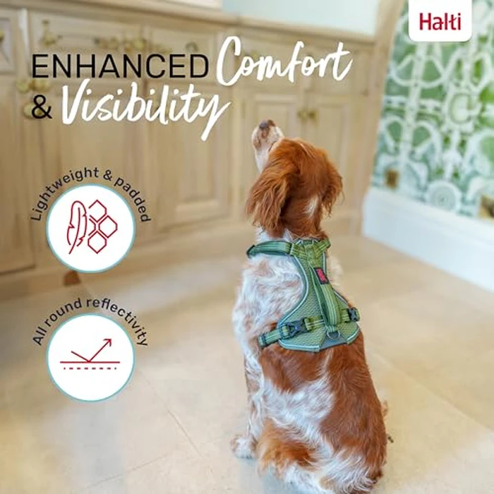 Halti Anatomy Dog Harness with Handle - Padded, Adjustable & Reflective No Pull Dog Harness, 3 Leash Attachment Points Including Front Clip, Suitable for Medium Dogs (Size M, Green) by Coachi - Image 6