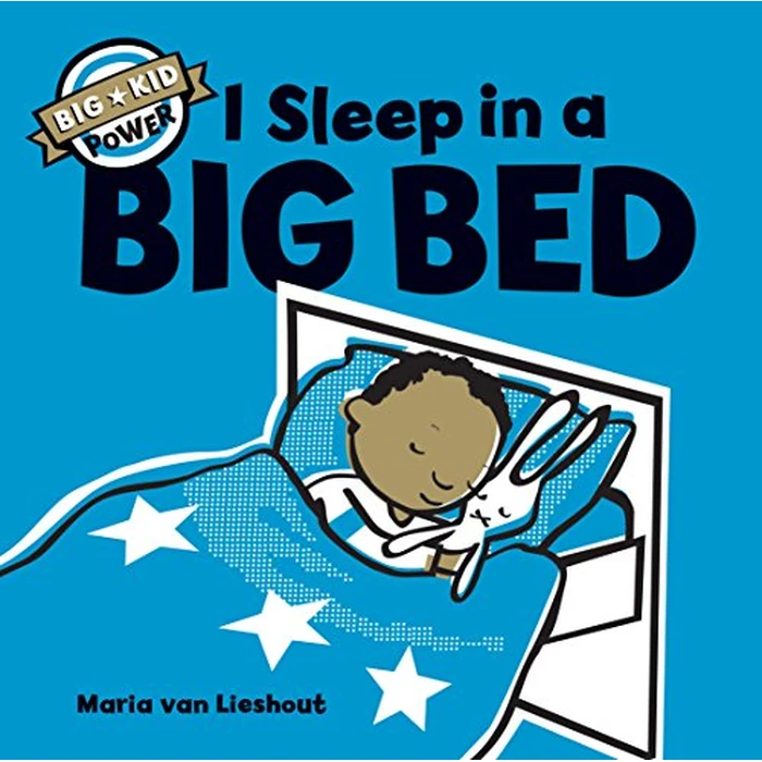 I Sleep in a Big Bed: (Milestone Books for Kids, Big Kid Books for Young Readers by Chronicle Books - Used - Good condition - CA$13.66
