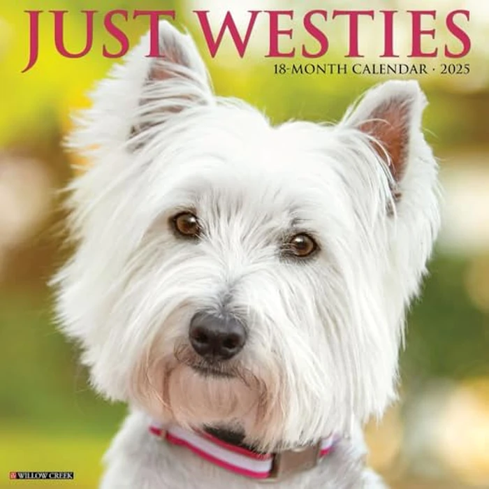 Just Westies 2025 12" x 12" Wall Calendar by WILLOW CREEK - Used - Like New condition