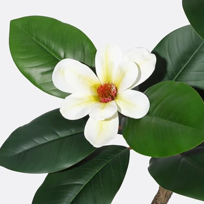 Garvee s-Shape 6 ft Artificial Rubber Tree with White Planter, Faux Tropical Floor Plant with 8 Magnolia Flowers, Real Touch Leaves for Home Office Indoor Decor by Garvee - Image 2