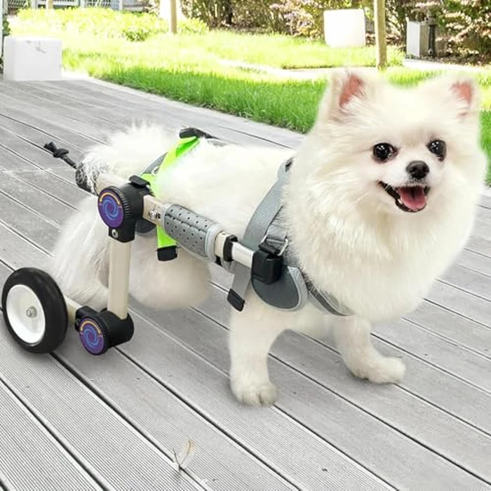 LetPetRun Adjustable Dog Wheelchair for Back Legs Mobility Support Lightweight Pet Wheelchair for Disabled Hind Legs Walking Stable Dog Cart for Pets, Extra Small White by LetPetRun - Image 1