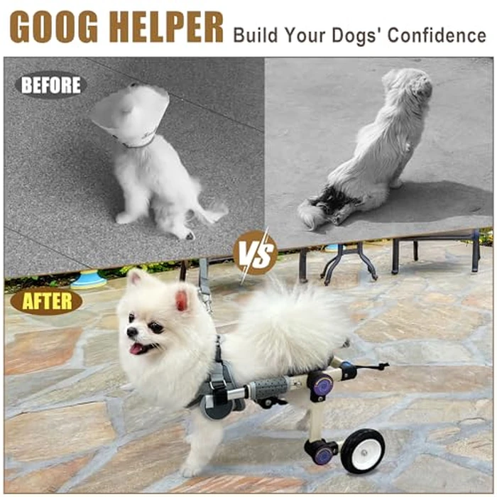 LetPetRun Adjustable Dog Wheelchair for Back Legs Mobility Support Lightweight Pet Wheelchair for Disabled Hind Legs Walking Stable Dog Cart for Pets, Extra Small White by LetPetRun - Image 2