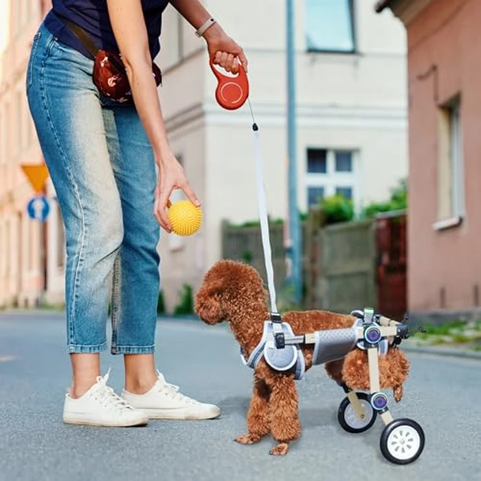 LetPetRun Adjustable Dog Wheelchair for Back Legs Mobility Support Lightweight Pet Wheelchair for Disabled Hind Legs Walking Stable Dog Cart for Pets, Extra Small White by LetPetRun - Image 6
