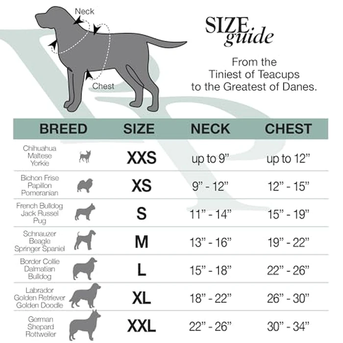 Pet Passion Toby II - The Perfect Tee, 3 Pack Short Sleeve Pet T-Shirt 100% Organic Cotton Tees Clothes for Small, Medium, Large Dogs, Navy Ombre, XX-Large by Pet Passion - Image 5