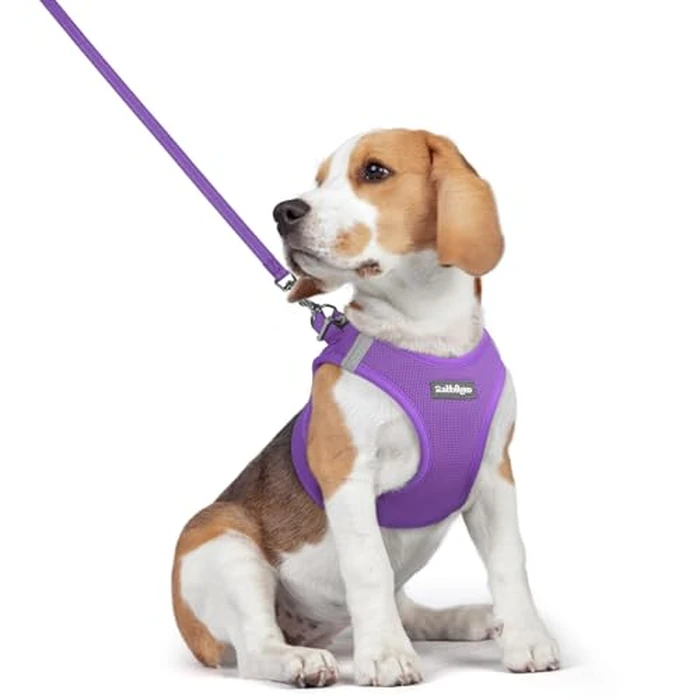 rabbitgoo Dog Harness Small Medium Sized and Leash Set, Step in Soft Light Puppy Vest, Breathable Mesh Pet Harness, Reflective for Safe Outdoor Walking, Purple L by rabbitgoo - Image 1