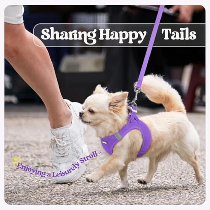 rabbitgoo Dog Harness Small Medium Sized and Leash Set, Step in Soft Light Puppy Vest, Breathable Mesh Pet Harness, Reflective for Safe Outdoor Walking, Purple L by rabbitgoo - Image 9