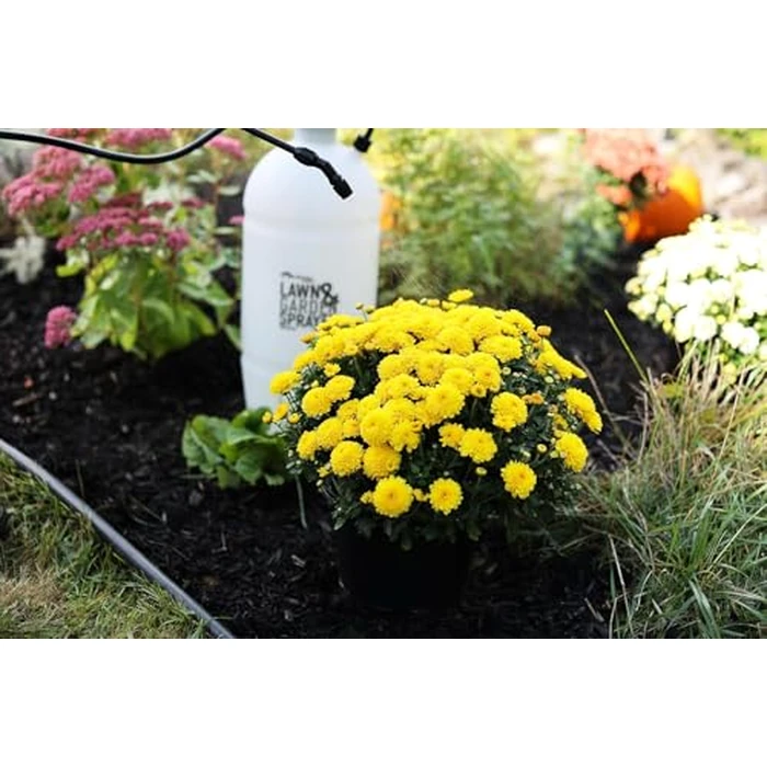 Flo-Master by Hudson 2 Gallon Lawn & Garden Sprayer by Flo-Master by Hudson - Image 7