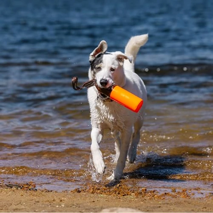 Carhartt Gear P0000397 Large Retrieving Bumper - One Size Fits All - Hunter Orange by Carhartt - Image 4