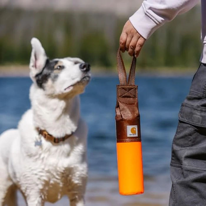 Carhartt Gear P0000397 Large Retrieving Bumper - One Size Fits All - Hunter Orange by Carhartt - Image 5