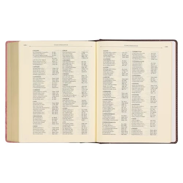 KJV Holy Bible, Note-taking Bible, Faux Leather Hardcover - King James Version, Brown/Pink (KJV Note-taking Editions) by Christian Art Gifts - Image 6