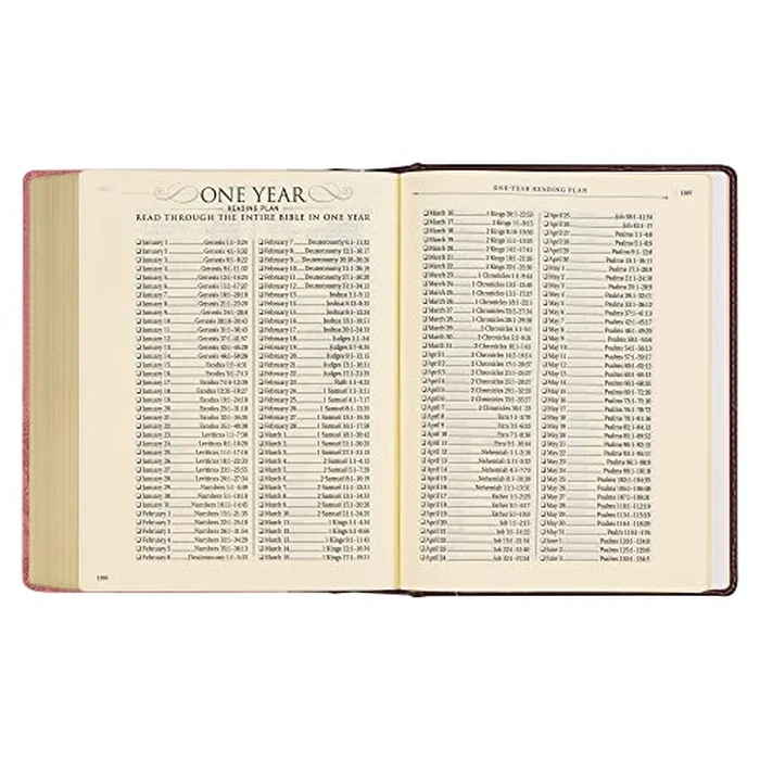 KJV Holy Bible, Note-taking Bible, Faux Leather Hardcover - King James Version, Brown/Pink (KJV Note-taking Editions) by Christian Art Gifts - Image 7