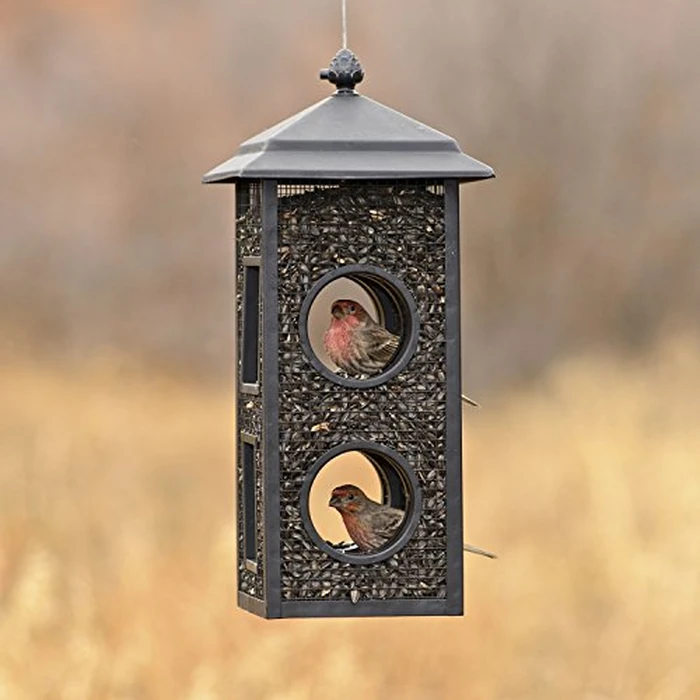 Perky-Pet Fly-Thru Wild Bird Feeder - 2 lb Capacity for Black-Oil Sunflower Seeds - Wild Bird Feeder for Outdoors - Outdoor Decor - B00303 by Perky-Pet - Image 5