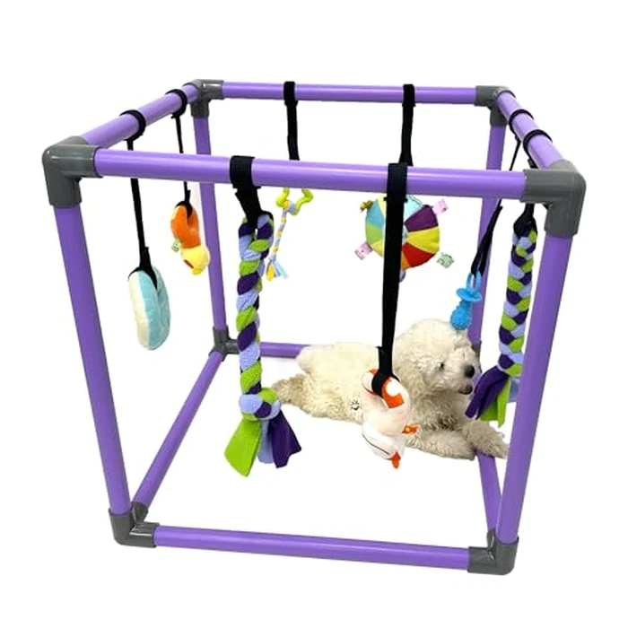 DOZZOPET Puppy Play Gym for Small Dogs with 8 Hanging Toys, Jungle Playground with Interactive Funny Enrichment Toys to Keep Them Busy by DOZZOPET - Used - Very Good condition - US$37.61