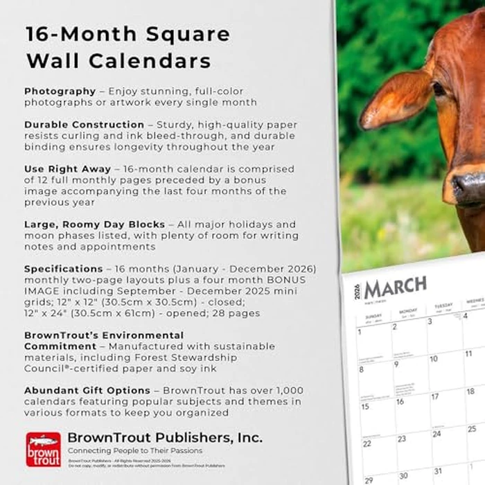Cows | 2026 12 x 24 Inch (Hanging) Monthly Square Wall Calendar | BrownTrout | Domestic Farm Animals by BrownTrout - Image 4