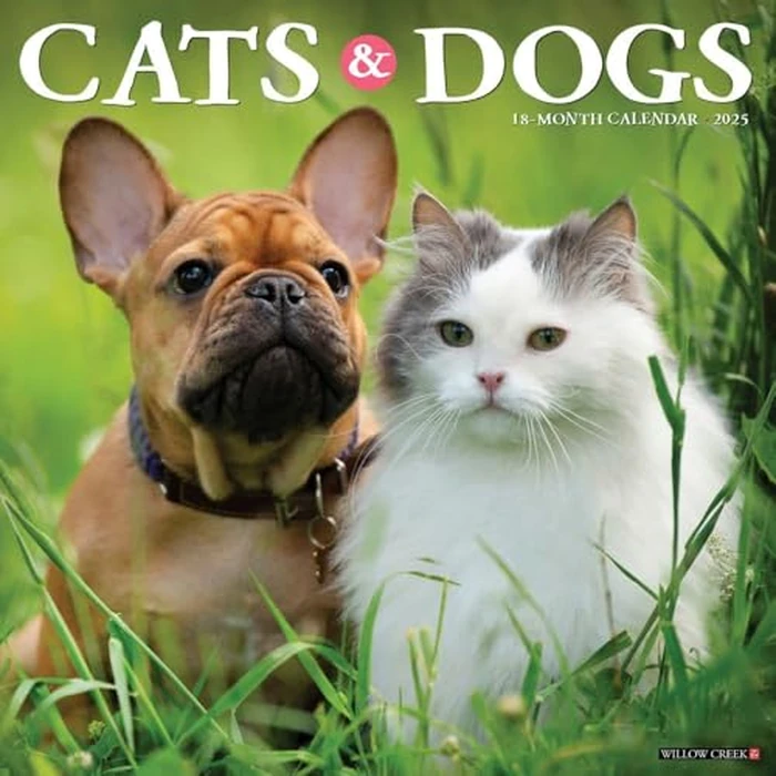 Cats & Dogs 2025 12" x 12" Wall Calendar by WILLOW CREEK - Image 1
