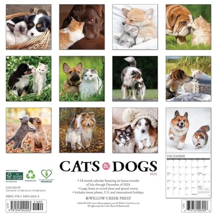 Cats & Dogs 2025 12" x 12" Wall Calendar by WILLOW CREEK - Image 3