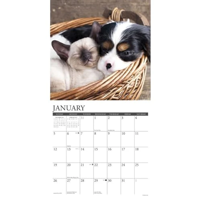Cats & Dogs 2025 12" x 12" Wall Calendar by WILLOW CREEK - Image 4
