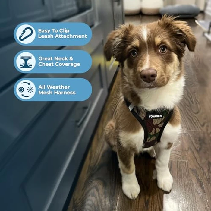 Best Pet Supplies Voyager Step-in Air Harness - All Weather Mesh, Reflective, No Pull Harness for Dogs, Cats - Secure with Hook & Loop Fastener, Buckle, Double D-Rings - Army/Black Trim, M by Best Pet Supplies - Image 2