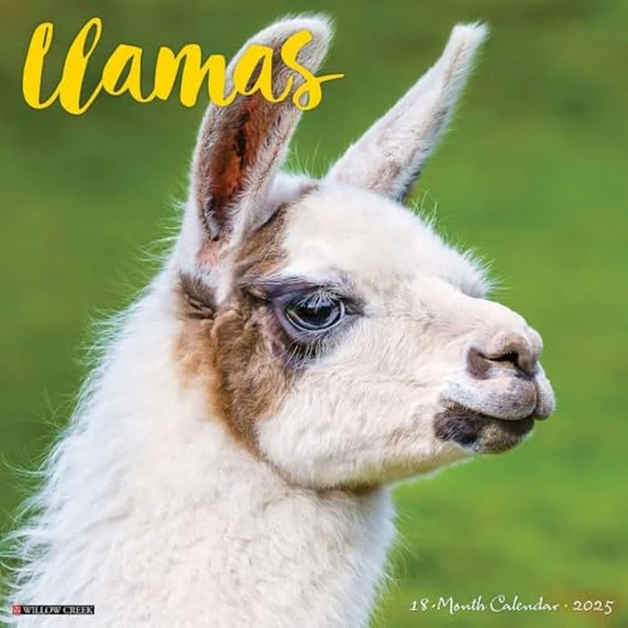 Llamas 2025 12" x 12" Wall Calendar by WILLOW CREEK - Image 2