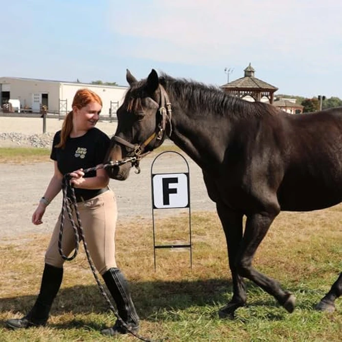 HDYEGY 4Pcs Dressage Letters Arena Markers,Metal Dressage Arena Letters Dressage Equipment for Equestrian Athletes and Events Includes Letters P,R,S,V by HDYEGY - Image 5