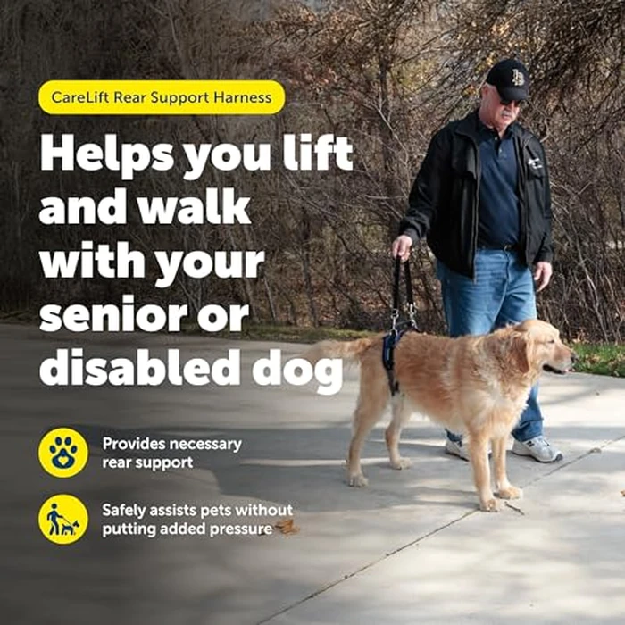 PetSafe CareLift Rear Support Harness - Lifting Aid with Handle and Shoulder Strap - Great for Pet Mobility and Older Dogs - Comfortable, Breathable Material - Easy to Adjust by PetSafe - Image 2
