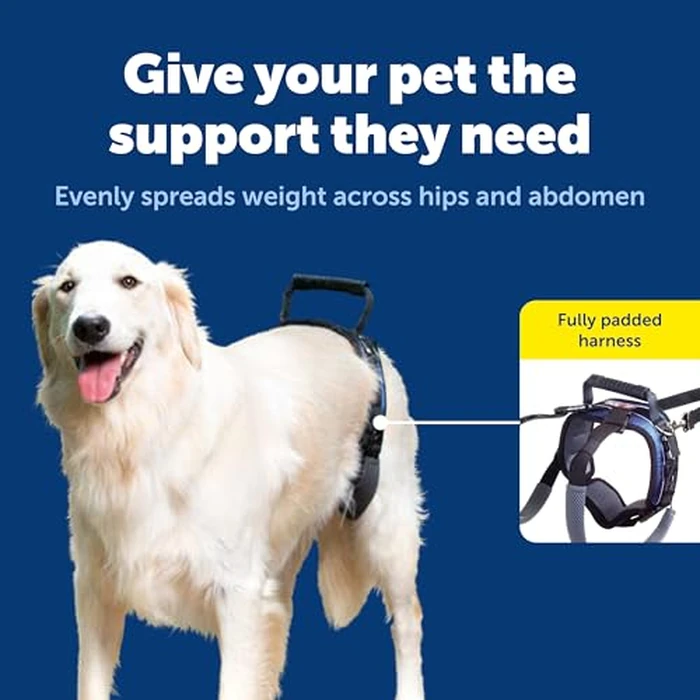 PetSafe CareLift Rear Support Harness - Lifting Aid with Handle and Shoulder Strap - Great for Pet Mobility and Older Dogs - Comfortable, Breathable Material - Easy to Adjust by PetSafe - Image 3