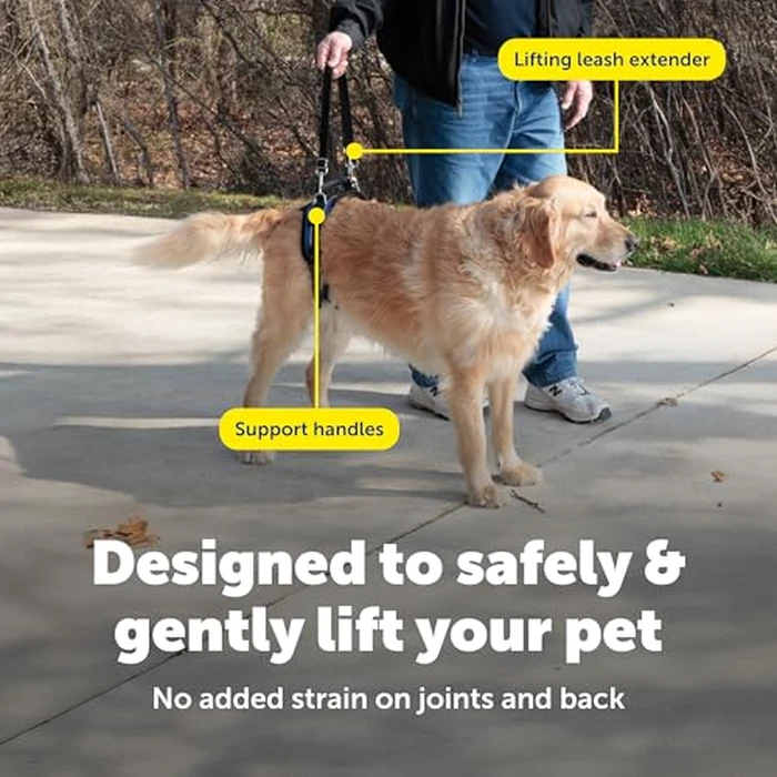 PetSafe CareLift Rear Support Harness - Lifting Aid with Handle and Shoulder Strap - Great for Pet Mobility and Older Dogs - Comfortable, Breathable Material - Easy to Adjust by PetSafe - Image 4