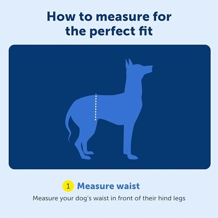PetSafe CareLift Rear Support Harness - Lifting Aid with Handle and Shoulder Strap - Great for Pet Mobility and Older Dogs - Comfortable, Breathable Material - Easy to Adjust by PetSafe - Image 5