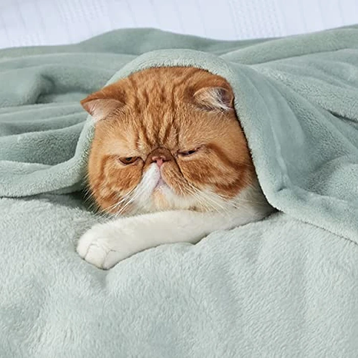 Bedsure GentleSoft Fleece Throw XL Blanket Sage Green - 300GSM Soft Lightweight Plush Cozy Blankets for Bed, Sofa, Couch, Travel, Camping, 50x70 inches by Bedsure - Image 2